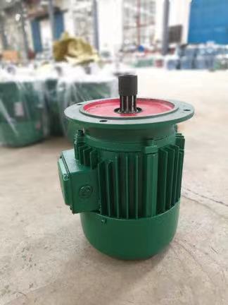 真牛集團(tuán)、方泰智能起重機(jī)錐形制動(dòng)電機(jī)、